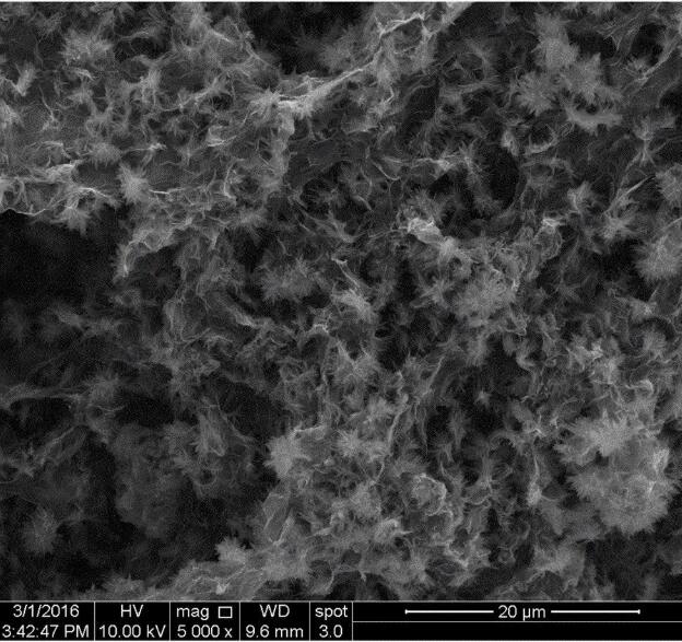 氧化石墨烯-氧化铝复合气凝胶SEM图片